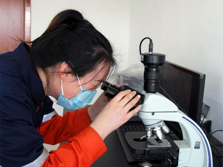 BG大游(中国)唯一官方网站