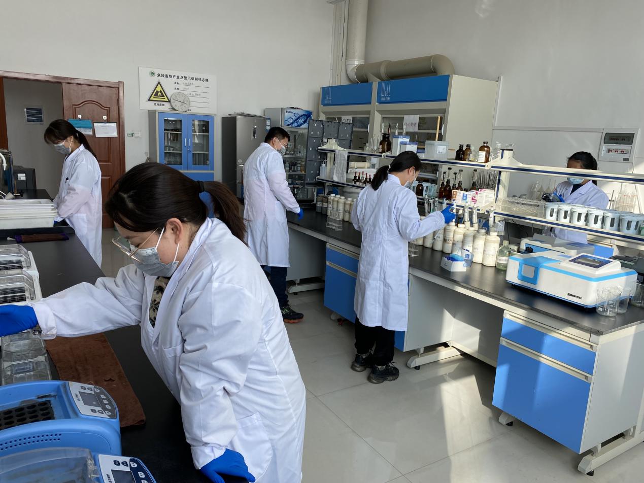 BG大游(中国)唯一官方网站