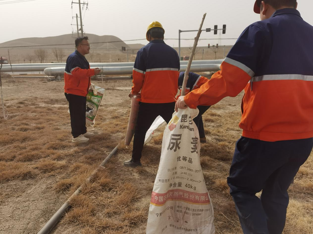 BG大游(中国)唯一官方网站